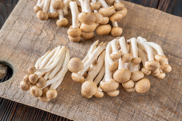 Brown beech mushroom