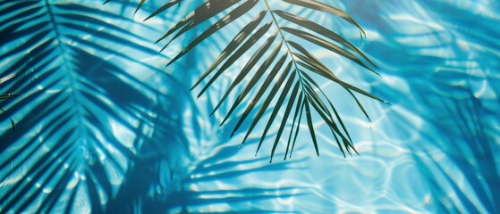 Shadows of palm leaves on blue water