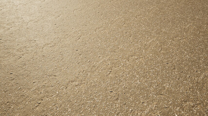 Concept or conceptual golden sandy beaches with seashells background with a grungy rough texture. A 3d illustration as a metaphor for nature, exotic, travel, vacation and lifestyle