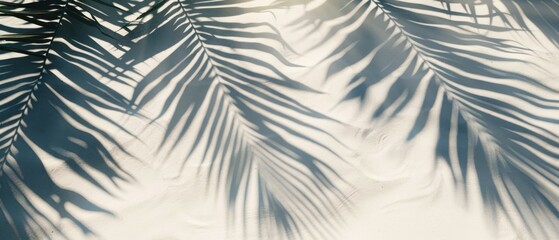 Shadows of palm leaves on the white sand of the beach