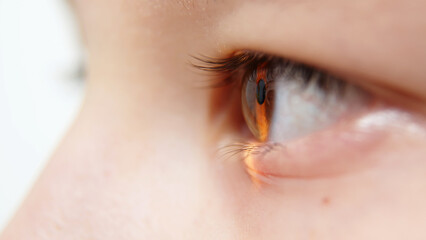 Eye iris and pupil macro. Reflected moving light rays into the child eye with zoom. Close up. The...