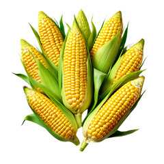 AI art showcases a collection of vibrant organic sweet corn, isolated on a transparent background