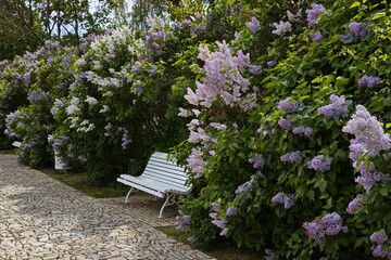 Rest place in a garden on the hill Petrin in Prague,Czech republic,Europe
