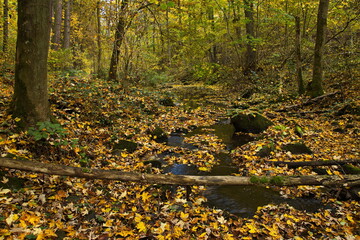 Hiking track in public park 