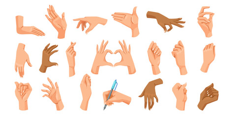 Multiple hand gestures in various positions, vector illustration, on a white background. Concept of communication and expressions. Vector illustration