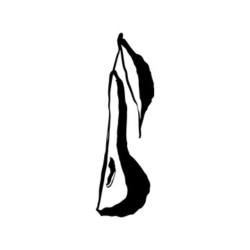 recommend clip art: Hand drawn pear, quirky line art drawing, vector illustration