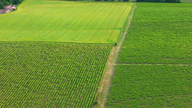 Avanc&eacute;e sur les vignobles de Gironde