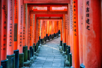 Fushimi-inari temple - Kyoto - Japan