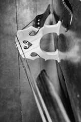 Detail of Contrabass. Wooden musical string instrument. Wooden Double bass bridge and strings....