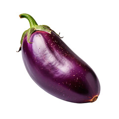 AI art showcases a realistic eggplant, isolated on clear background, ideal for food illustrations