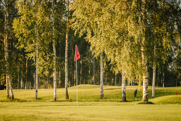 A peaceful golf course with a red flag marking the hole, surrounded by tall birch trees and green...