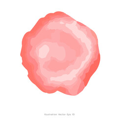 Rainbow watercolor paint on isolated white background, illustration Vector EPS 10