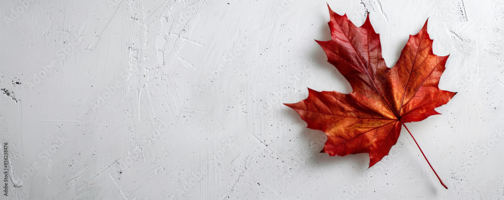 Canvas Prints canada day background with an elegant, minimalistic design featuring a single, large maple leaf on a