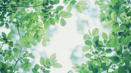 Nature's Harmony: Empty Centerpiece with Green Leaves and Branches Generative AI