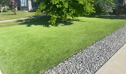 A beautiful artificial lawn in the front yard with nice tree and shrubs surrounding it