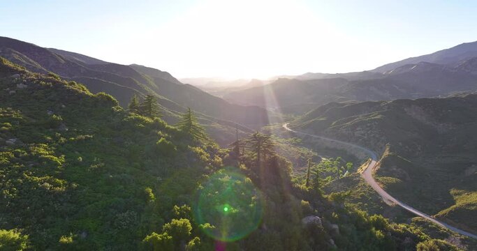 Ojai California Highway 33 Pine Forests Aerial Drone