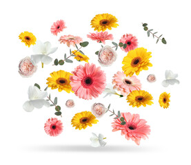 Bright gerberas and other beautiful flowers in air on white background