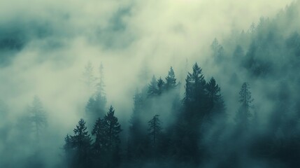 A Serene Landscape Shrouded in Thick Dense Fog, Creating a Mysterious and Tranquil Atmosphere in Nature