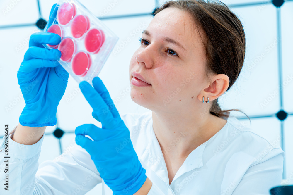 Poster young female scientist examining a six-well plate in an infectious disease laboratory