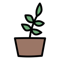 Plant