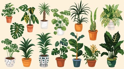 Fototapeta premium Isolated vector illustration of houseplants, symbolizing growth and a commitment to sustainable, zero-waste living spaces.
