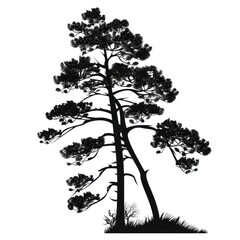 illustration with trees set isolated on white background