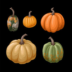 Different pumpkins isolated. Vector.