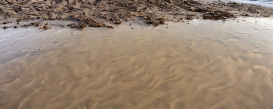 Polluted sand beach. Extremely detailed and realistic high resolution illustration