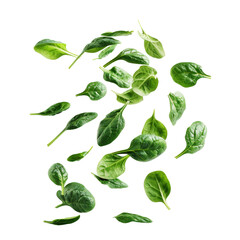 Healthy Fresh Spinach Leaves Isolated On Transparent Background For Culinary Recipes And Salads. Perfect for illustrating culinary ingredients, healthy living concepts, or salad recipes.