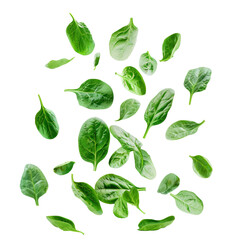 Healthy Fresh Spinach Leaves Isolated On Transparent Background For Culinary Recipes And Salads. Perfect for illustrating culinary ingredients, healthy living concepts, or salad recipes.