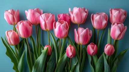 Obraz premium Pink tulip bouquet on a blue background