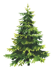 Christmas tree isolated on white. Watercolor Christmas tree hand painted clipart.