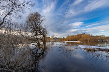 A tree is reflected in the water