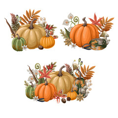 Pumpkins and autumn elements isolated. Vector.