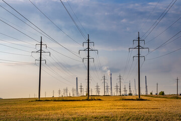 A field with many power lines and a few birds flying in the sky