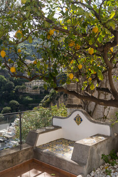 Lemon Tree with view of Positano