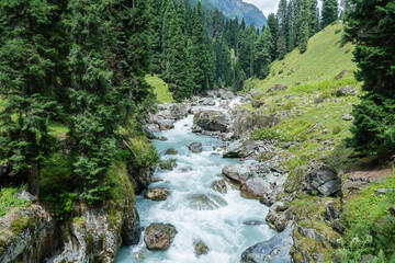 A river runs through a green forest in the Himalayas, highlighting its natural beauty, Kashmir, India