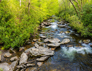 Obraz premium Alum Cave Creek Cascading Through Appalachian Forest, Great Smoky Mountains National Park, Tennessee, USA