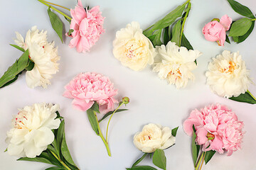 Abstract floral arrangement, flat lay, beautiful peonies on an elegant background, spring and summer banner. Creative modern bouquet. Mother's Day card, happy birthday, wedding, holiday concept 