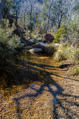 Reflections on First Creek on The First Creek Trail, Red Rock Canyon National Conservation Area, Mountain Springs, Nevada USA
