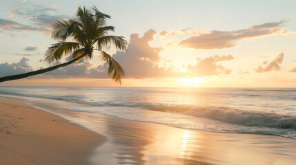 Fototapeta premium Palm tree on a sandy beach with ocean waves at sunset