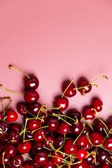 Sweet red cherries isolated with water drops. Black cherry, copy space
