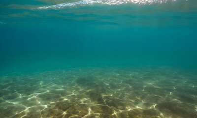 Obraz premium view of a reef, view of water under the sea, view under the ocean, clear water in under the sea, background with clean sea water