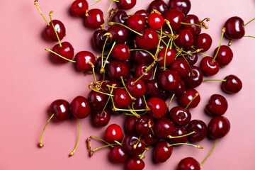 Sweet red cherries isolated with water drops. Black cherry, copy space