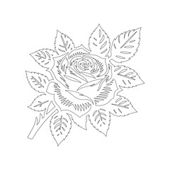 Fototapeta premium Minimalist Outline Rose Flower with Leaves Vector Isolated