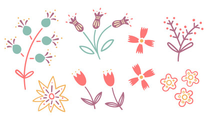 Colorful various simple flowers and leaves in a vector illustration on a white background