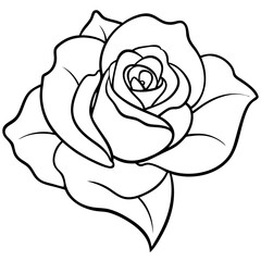 Line art rose