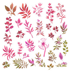 Set of various tree leaves. Hand drawn with watercolor. Isolated elements on a white background for your design