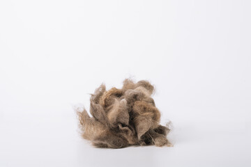 Big cat hairball on white background. Animal grooming concept	