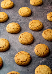 Oatmeal cookies on a dark background. Healthy diet.